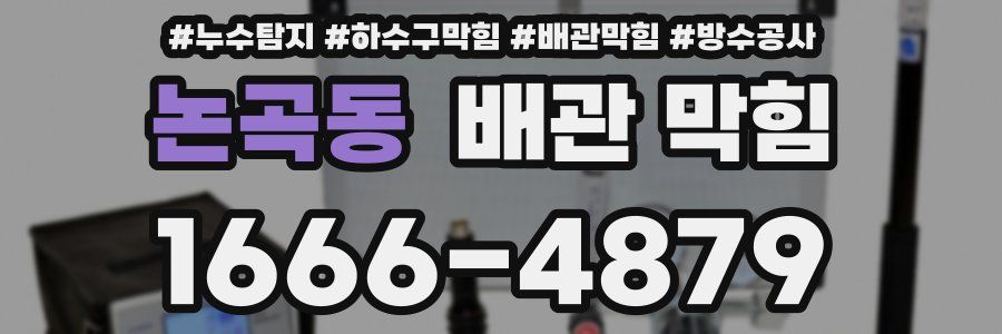 논곡동 배관 막힘