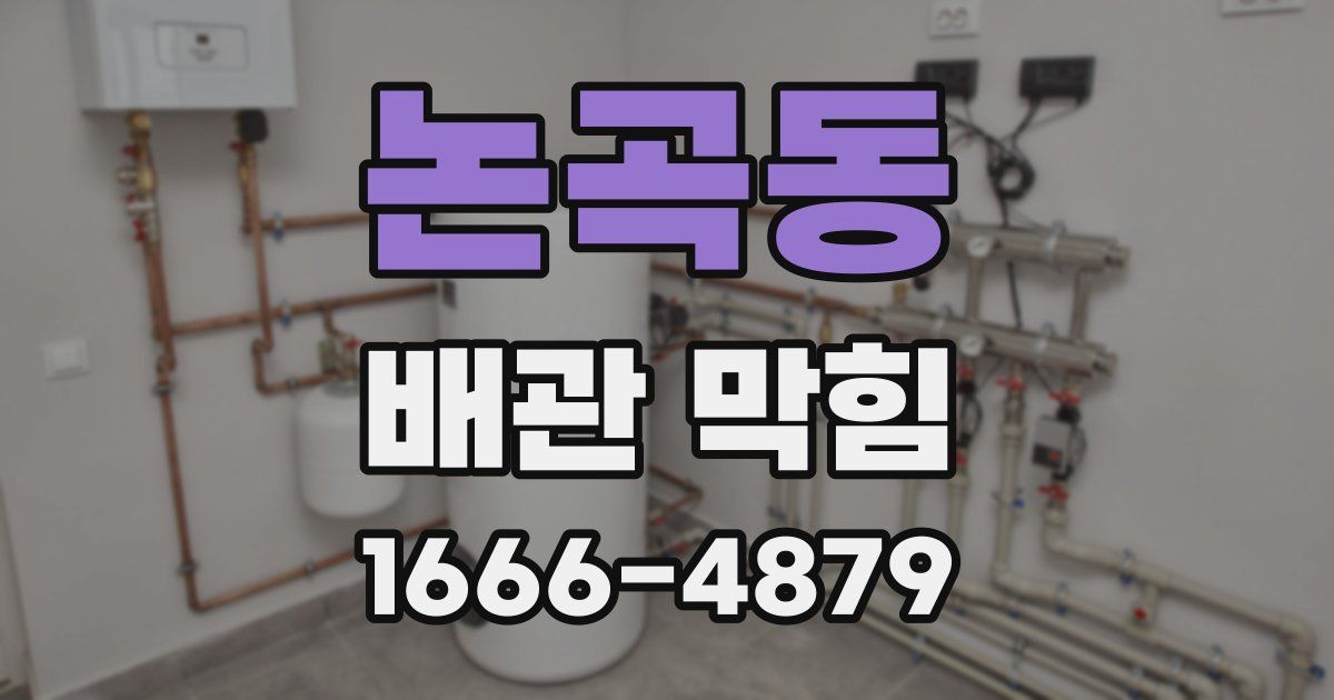 논곡동 배관 막힘