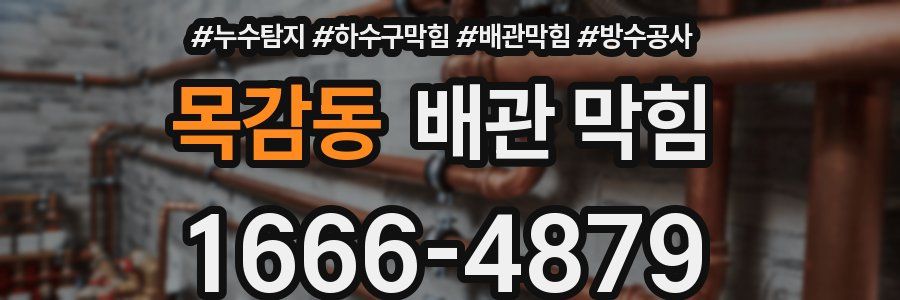 목감동 배관 막힘