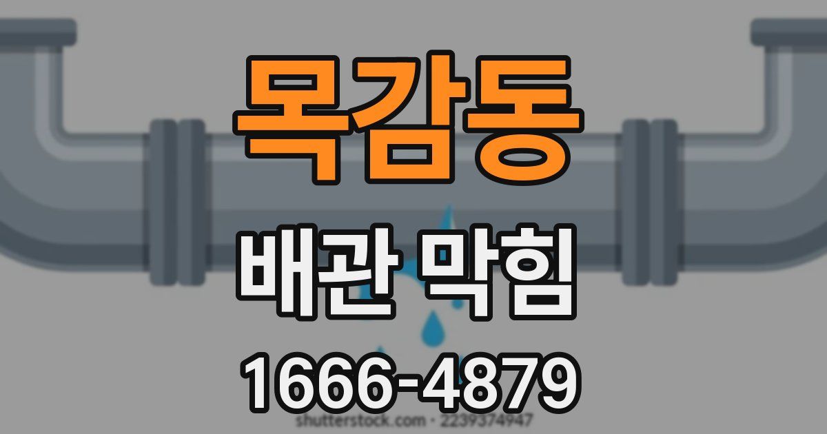 목감동 배관 막힘