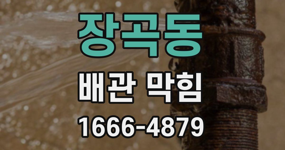 장곡동 배관 막힘