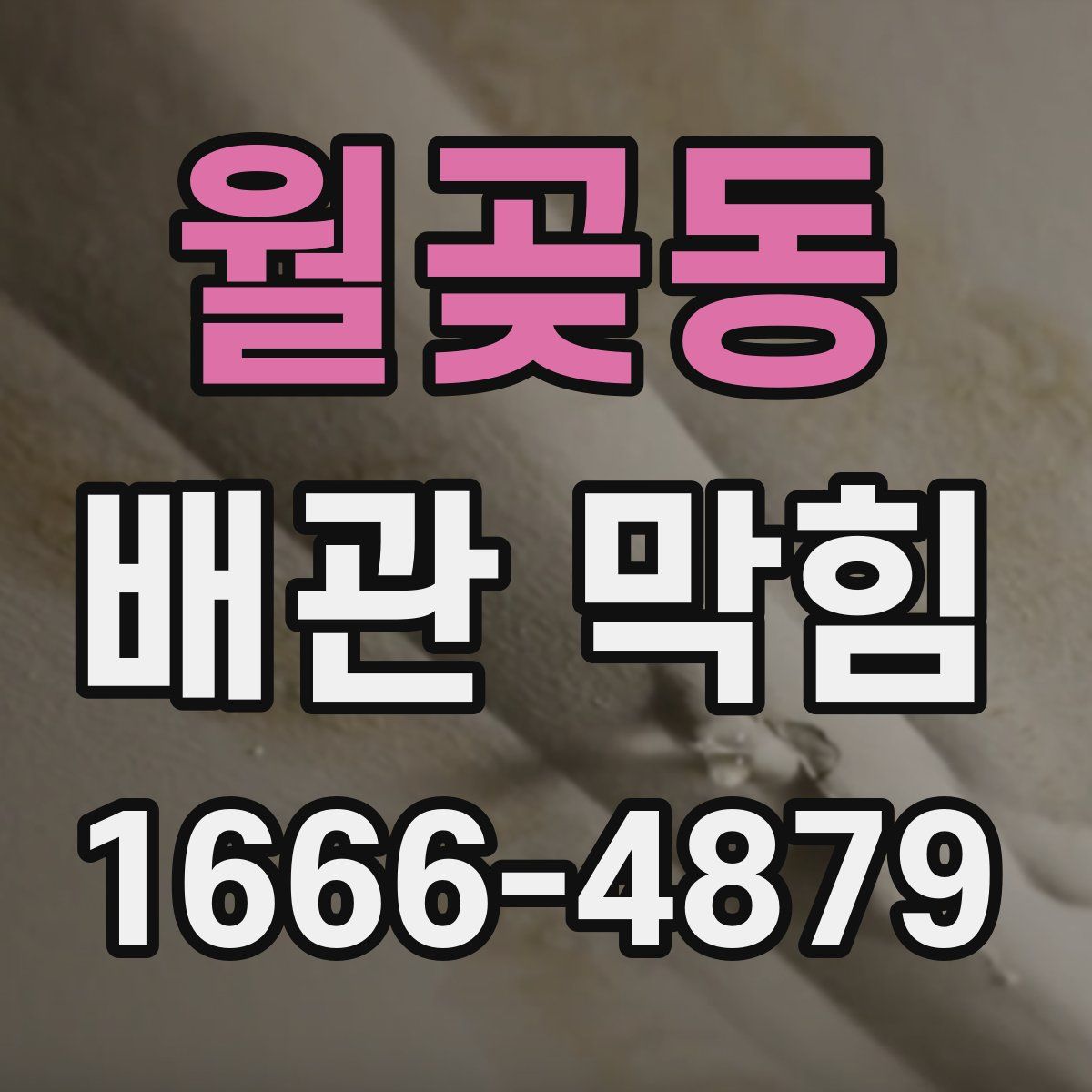 월곶동 배관 막힘