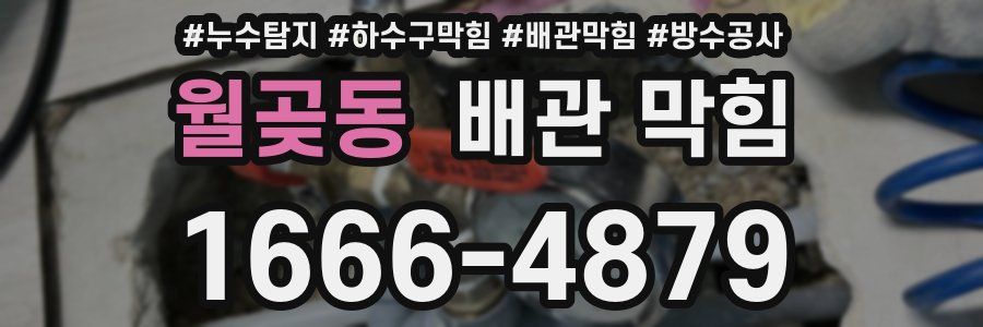 월곶동 배관 막힘