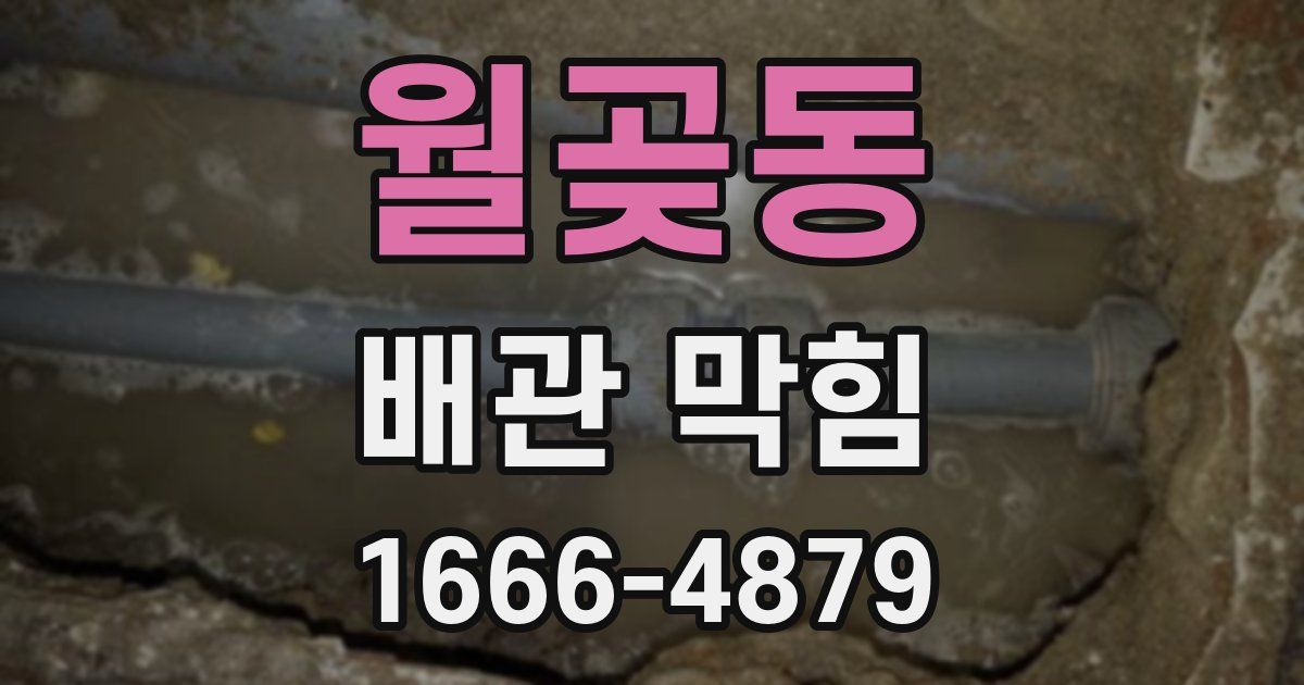 월곶동 배관 막힘