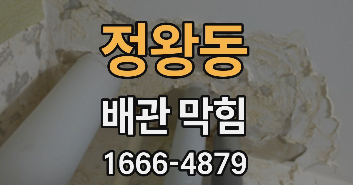 정왕동 배관 막힘
