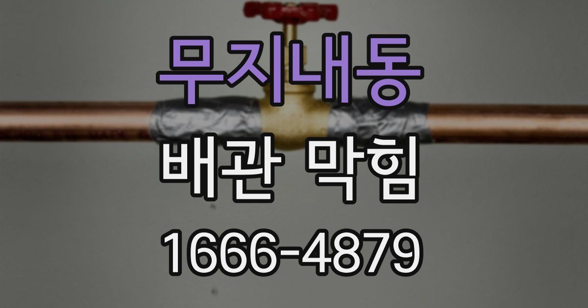 무지내동 배관 막힘