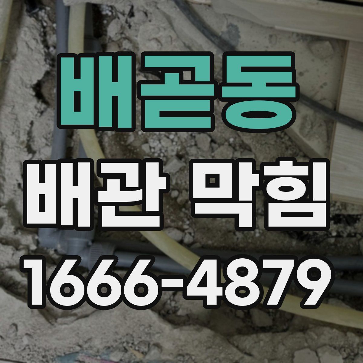 배곧동 배관 막힘