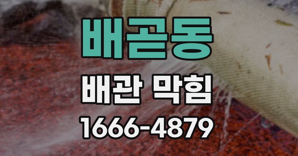 배곧동 배관 막힘