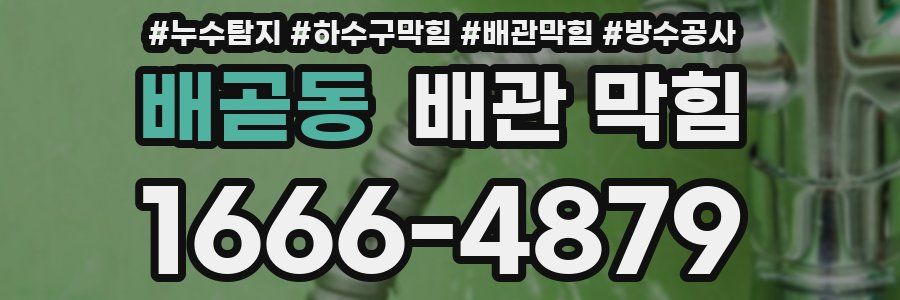 배곧동 배관 막힘