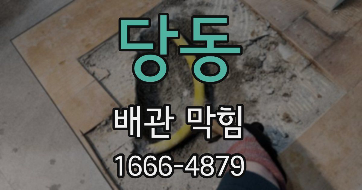 당동 배관 막힘
