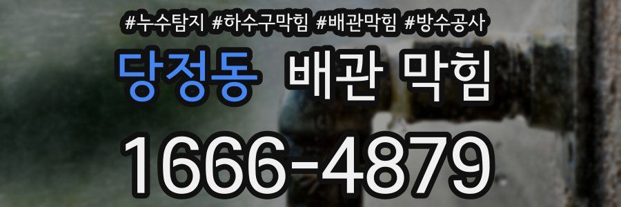 당정동 배관 막힘
