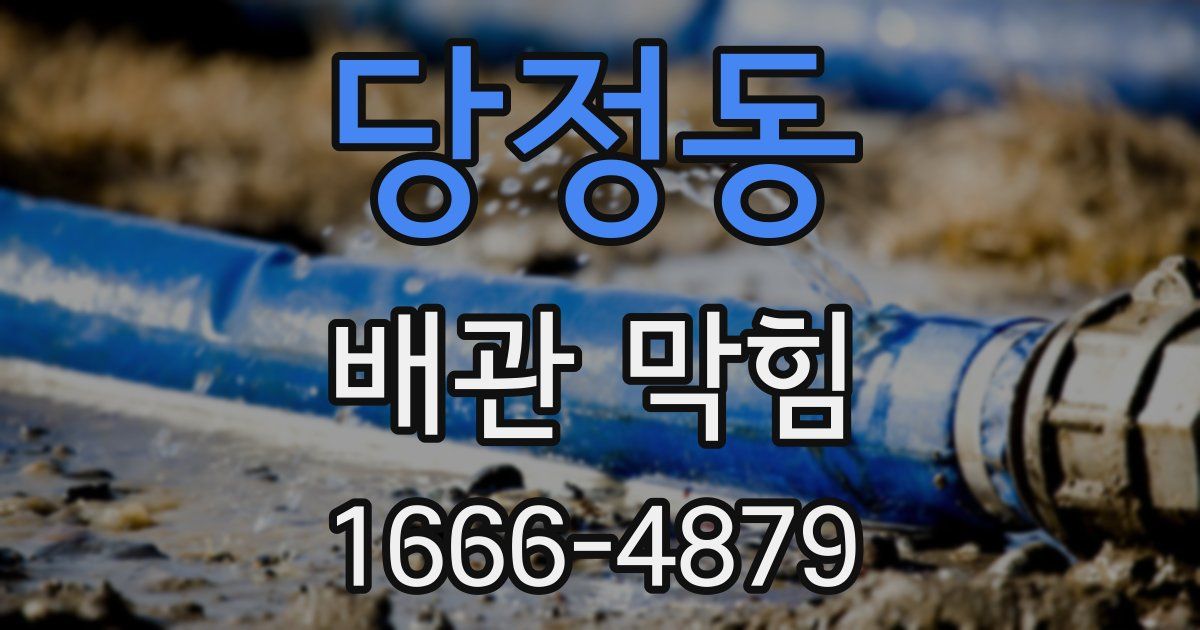 당정동 배관 막힘