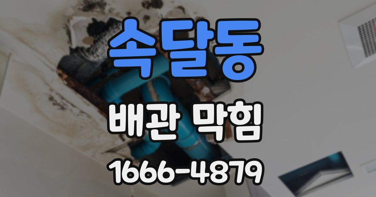 속달동 배관 막힘
