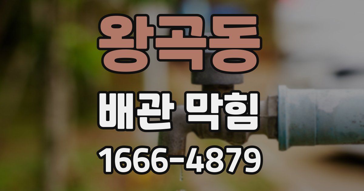 왕곡동 배관 막힘
