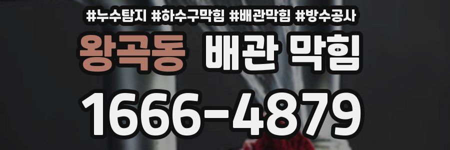 왕곡동 배관 막힘