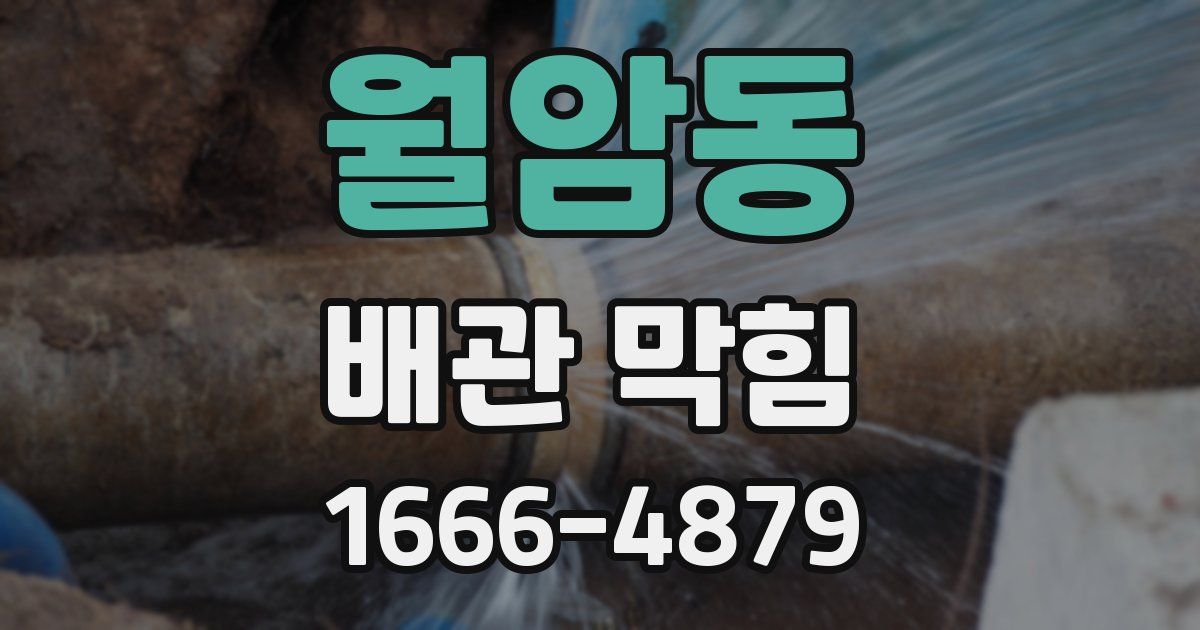 월암동 배관 막힘