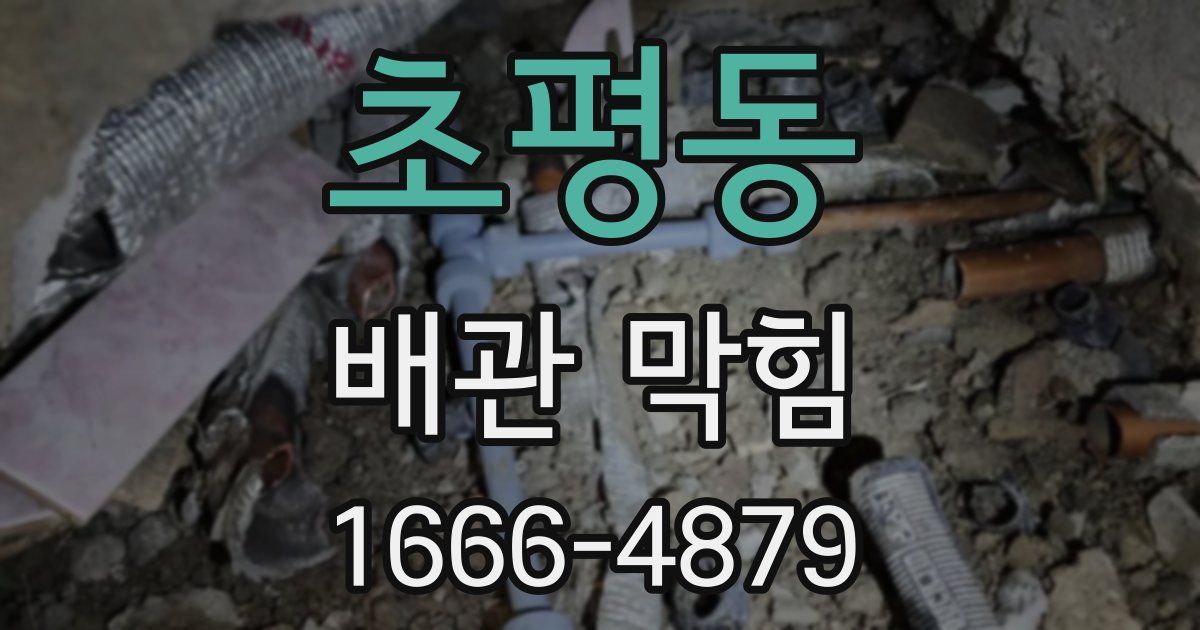 초평동 배관 막힘
