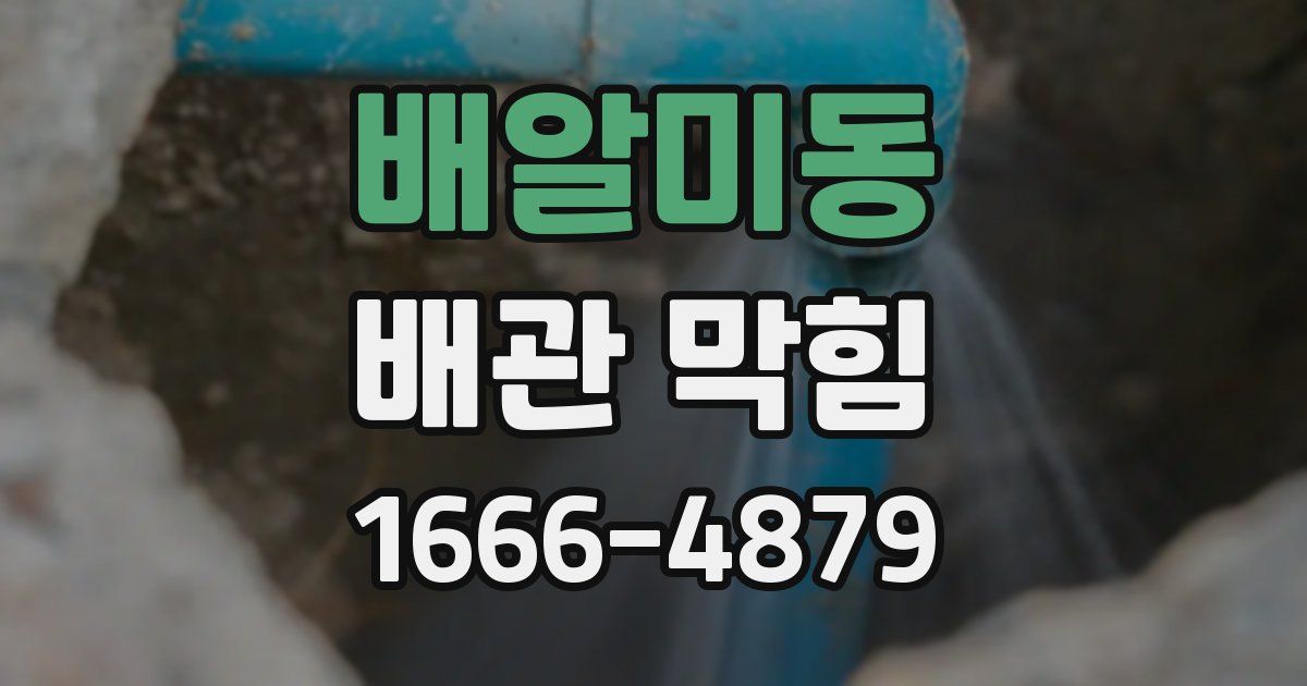 배알미동 배관 막힘