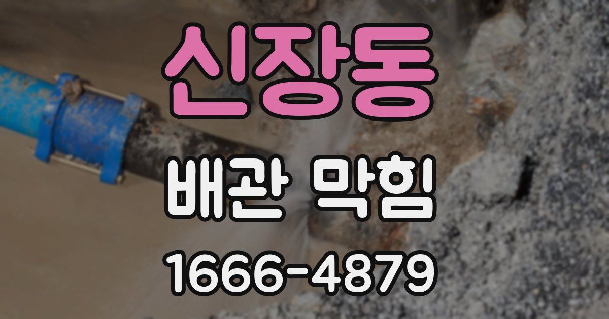 신장동 배관 막힘