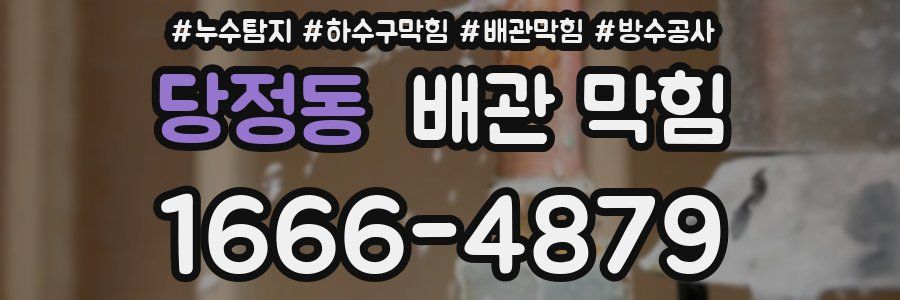 당정동 배관 막힘