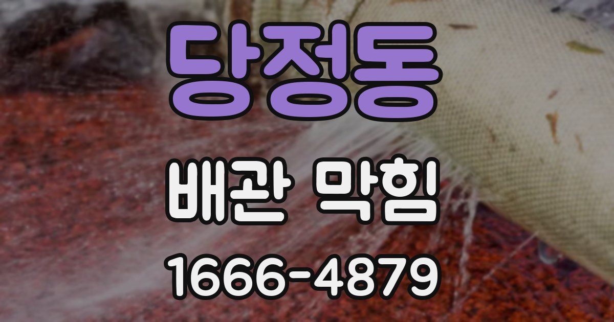 당정동 배관 막힘