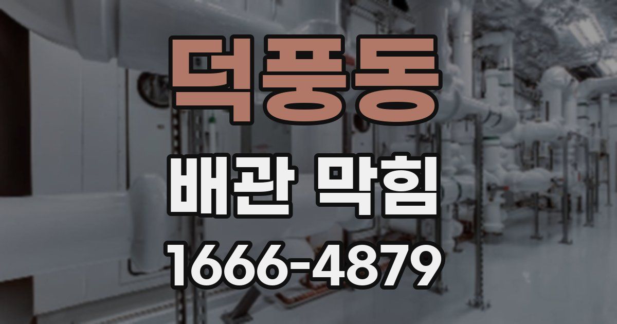 덕풍동 배관 막힘