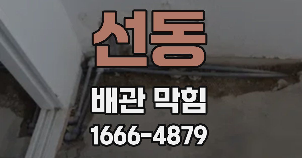 선동 배관 막힘