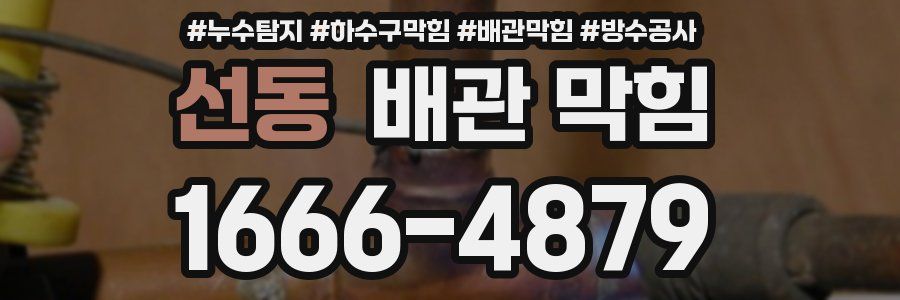 선동 배관 막힘
