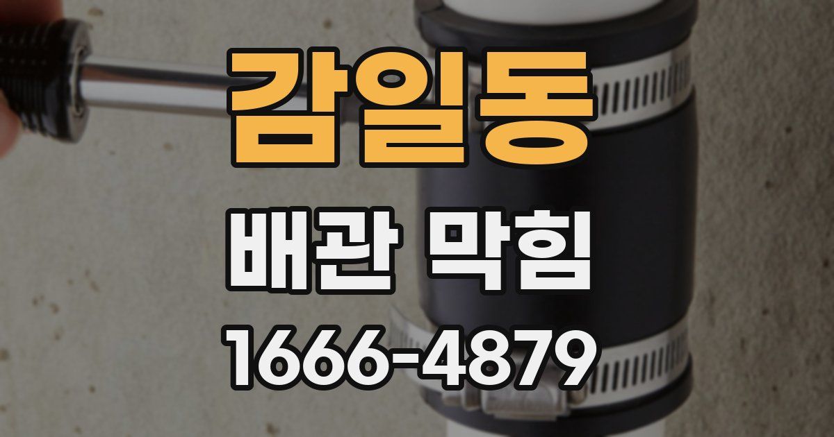 감일동 배관 막힘