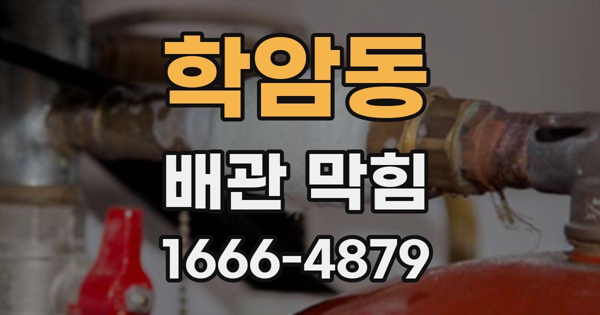 학암동 배관 막힘