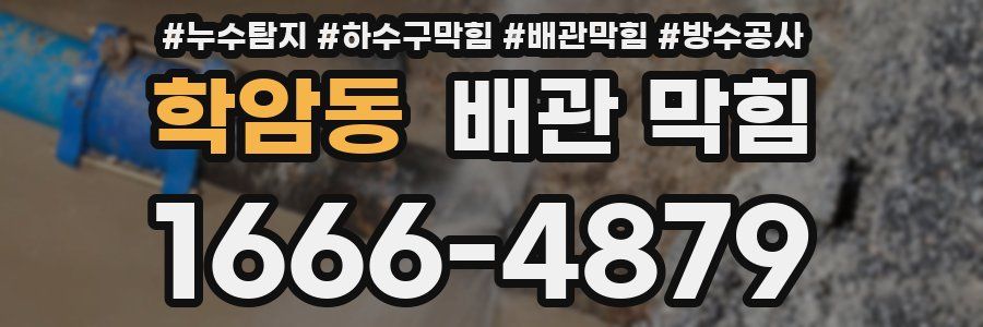 학암동 배관 막힘