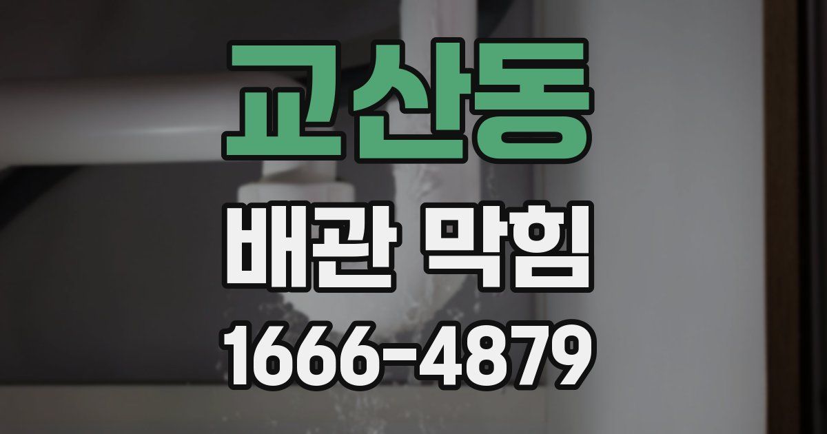 교산동 배관 막힘