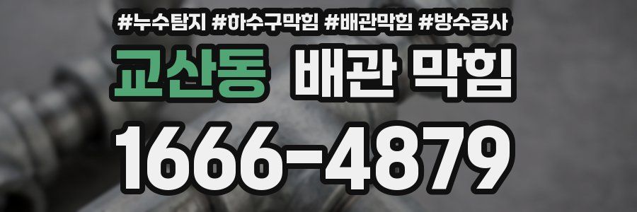 교산동 배관 막힘