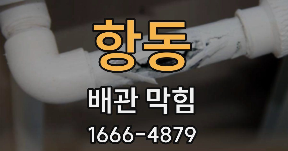 항동 배관 막힘