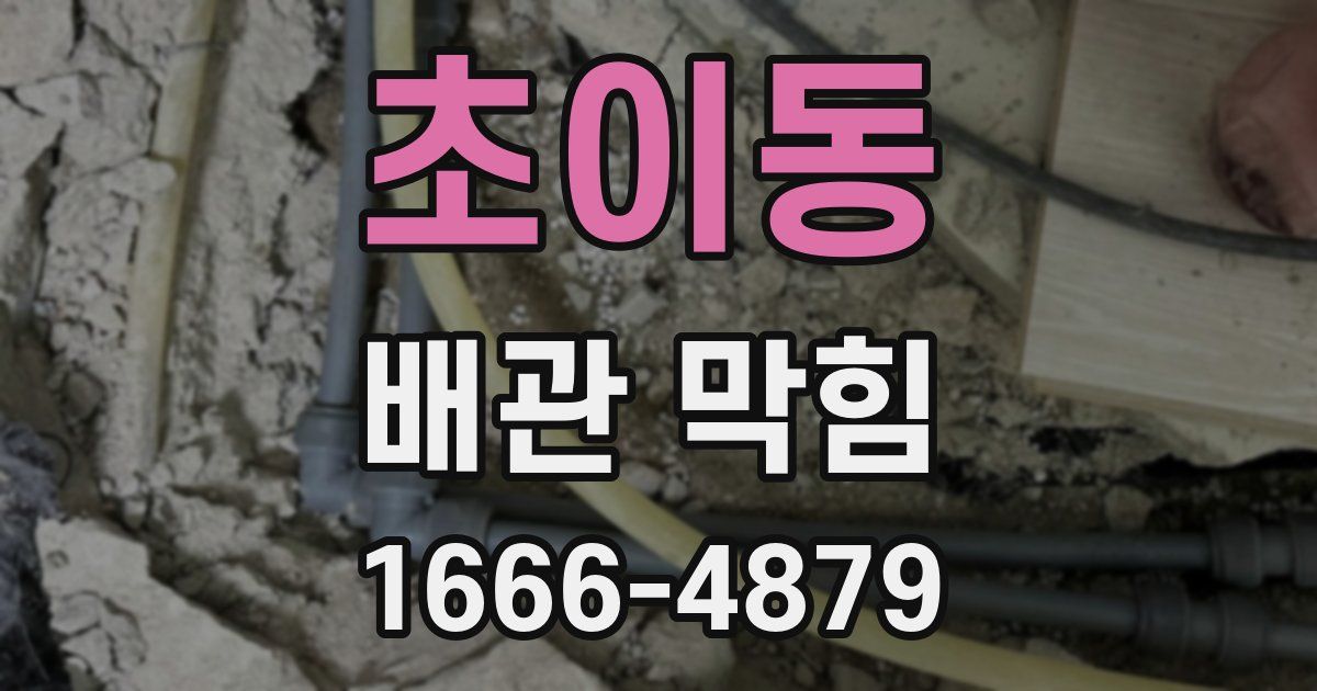초이동 배관 막힘