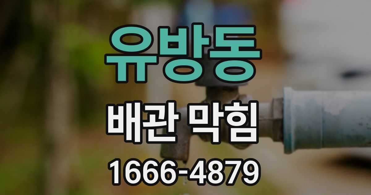 유방동 배관 막힘