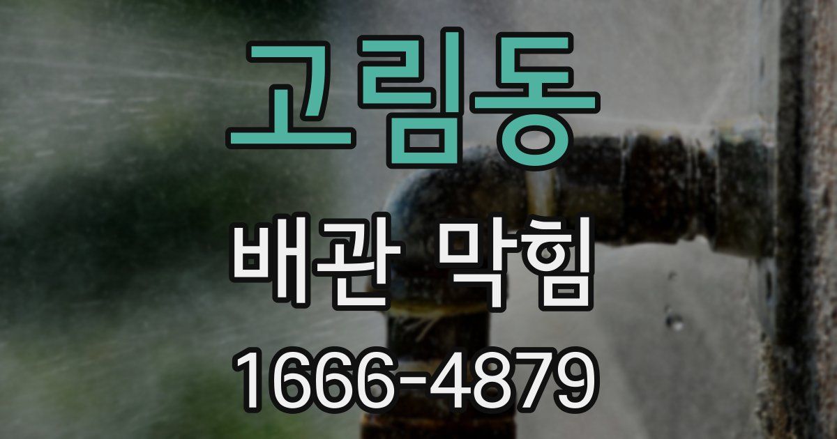 고림동 배관 막힘