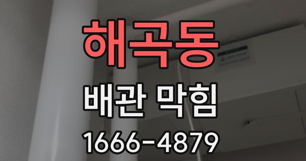 해곡동 배관 막힘