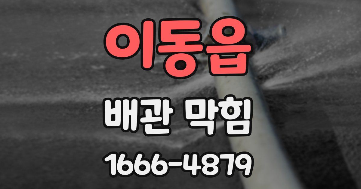 이동읍 배관 막힘