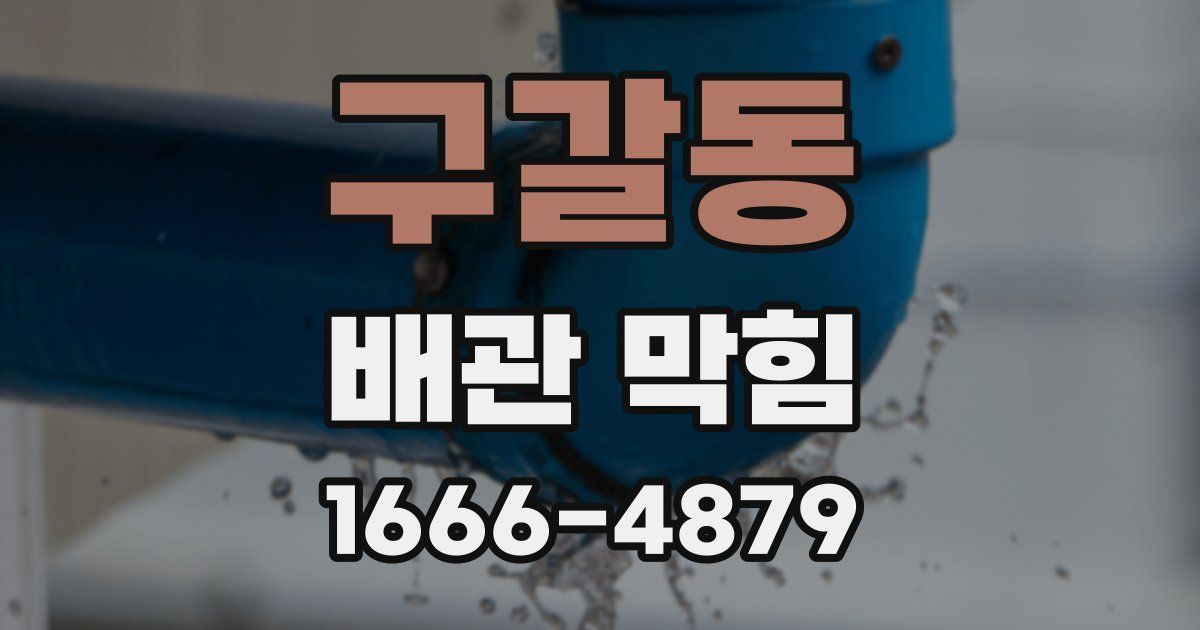 구갈동 배관 막힘