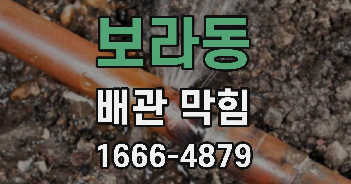 보라동 배관 막힘