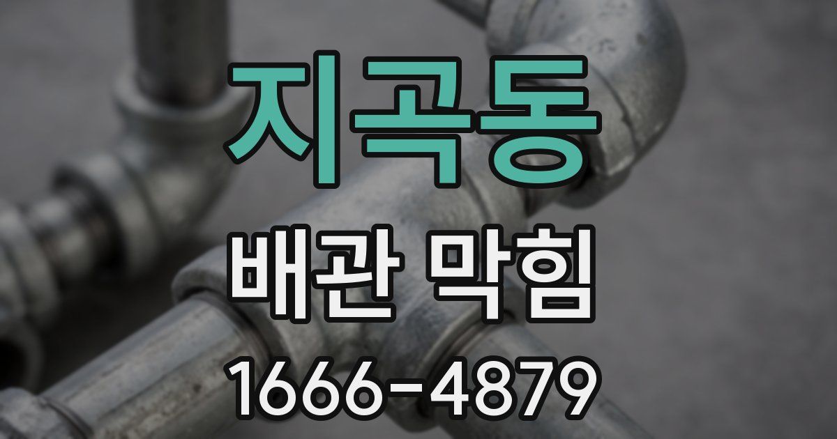 지곡동 배관 막힘