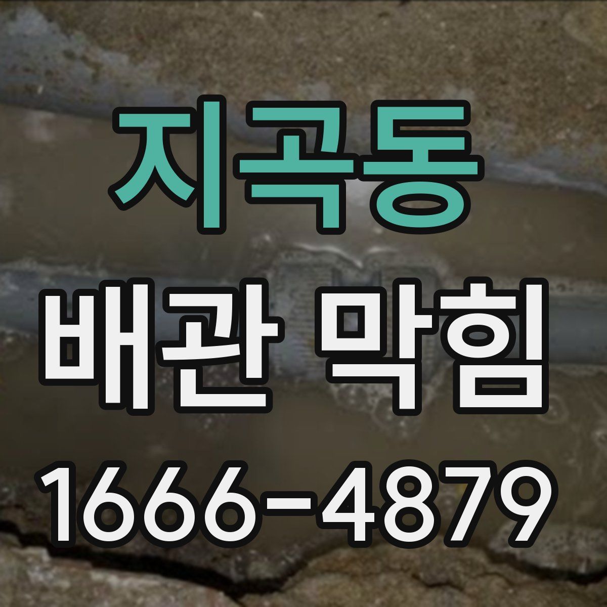지곡동 배관 막힘