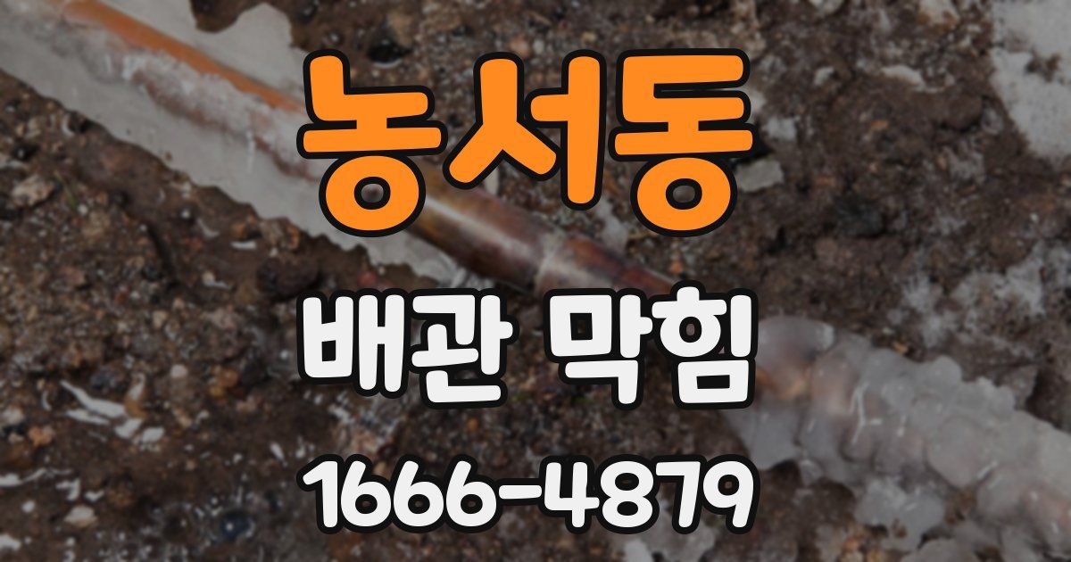 농서동 배관 막힘