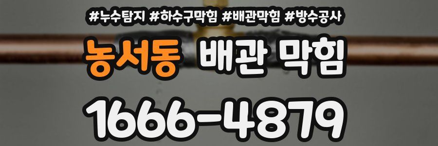 농서동 배관 막힘