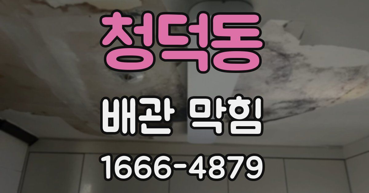 청덕동 배관 막힘