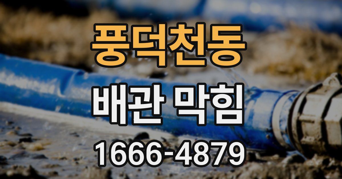 풍덕천동 배관 막힘