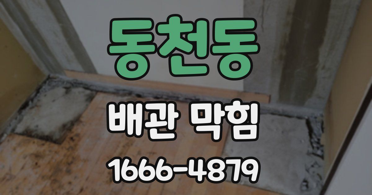 동천동 배관 막힘