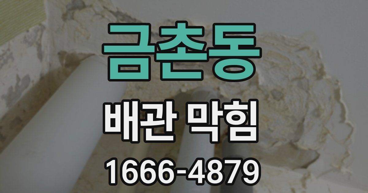 금촌동 배관 막힘