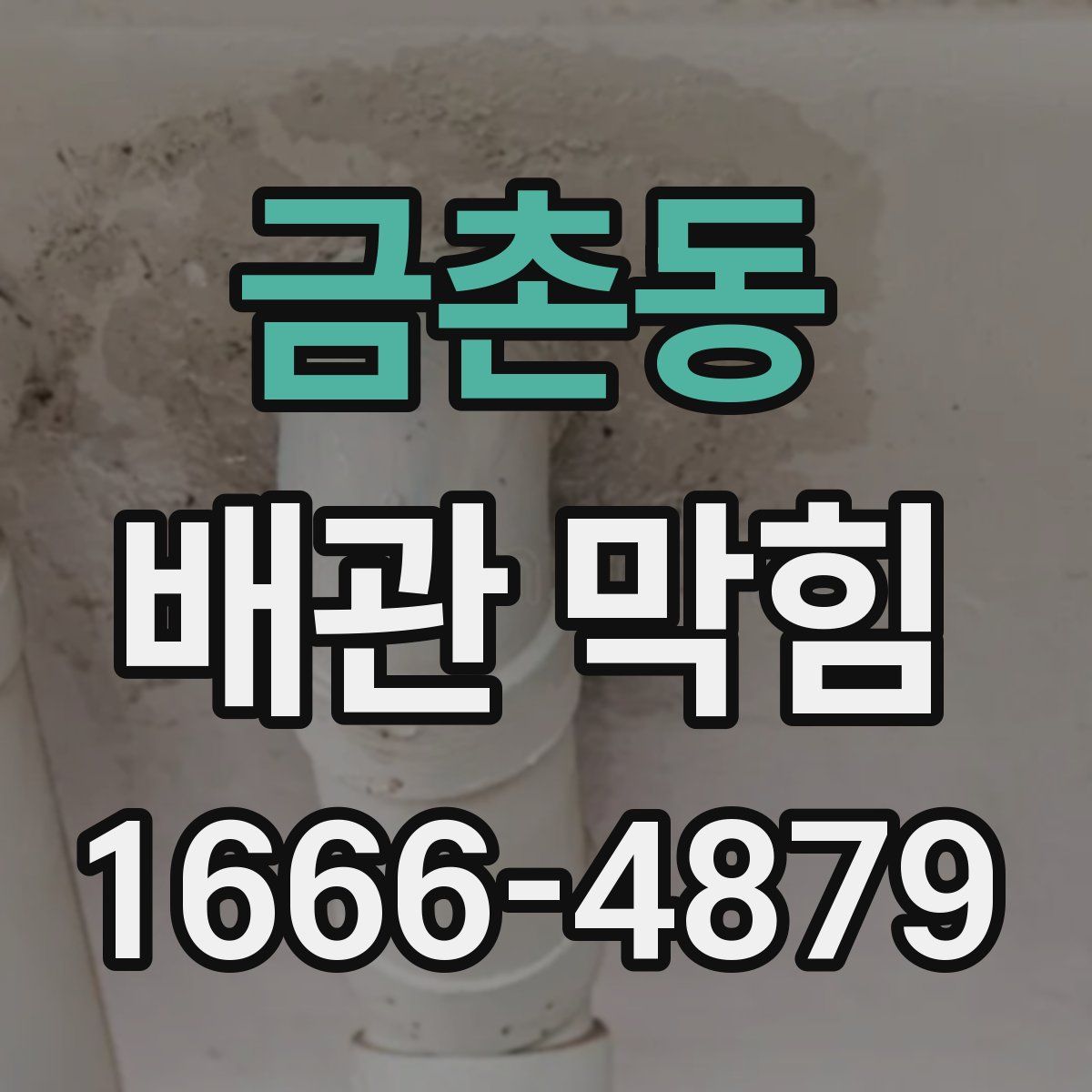 금촌동 배관 막힘